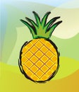 pineapple Royalty Free Stock Photo