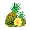 Pineapple