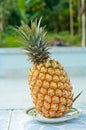 Pineapple