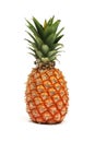 Pineapple Royalty Free Stock Photo