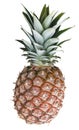 Pineapple Royalty Free Stock Photo