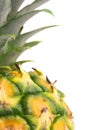 Pineapple Royalty Free Stock Photo