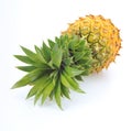 Pineapple Royalty Free Stock Photo