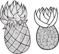 Pineapple and ananas coloring page. Graphic vector black and white art for coloring books for adults. Tropical and exotic fruit l