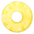 Pineapple ananas comosus round slice, top