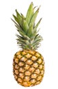 Pineapple ananas fruit isolated on white background Royalty Free Stock Photo