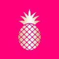 Pineapple Ananas icon silver on a pink background