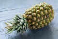 Pineapple or ananas Royalty Free Stock Photo