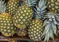 Pineapple (Ananases) at market.