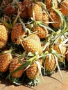 Pineapple background lots of ripe yellow pineapples market street. - image Royalty Free Stock Photo