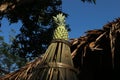 Pineapple on a bamboo arrangement, blue sky background