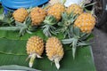 Pineapple on banana leaf Royalty Free Stock Photo