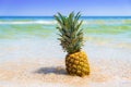 Pineapple on the beach. Pineapple fruit in the sea waves. Leisure in summer and Summer vacation concept. Royalty Free Stock Photo