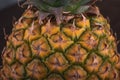 Gorgeous Pineapple being seen from above on a brown wooden table. Closed up detailed view of a pineapple