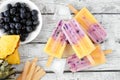 Pineapple and blueberry ice pops table scene over a rustic white wood background Royalty Free Stock Photo