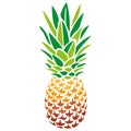 Pineapple is bright. Realistic silhouette. Design for greeting cards, summer tropical drinks Royalty Free Stock Photo