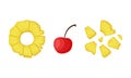 Pineapple and Cherry as Ice Cream Dessert Element for Topping Sprinkle Vector Set