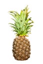 Pineapple close up isolated on a white background