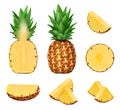 Pineapple. Closeup picture of pineapple healthy natural exotic product decent vector realistic isolated templates