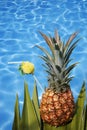 Pineapple cocktail Royalty Free Stock Photo