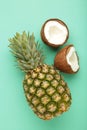 Pineapple with coconut on mint background. Tropical fruit Royalty Free Stock Photo