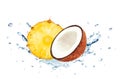 Pineapple coconut splash