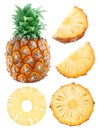 Pineapple collection Royalty Free Stock Photo