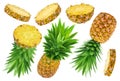 Pineapple collection. Whole and sliced pineapple isolated on white background Royalty Free Stock Photo