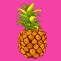 Pineapple, color, fruit