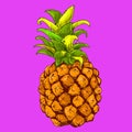 Pineapple, color, fruit