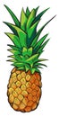 Pineapple color icon. Tropical fresh sweet fruit