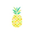 Pineapple colorful icon isolated on white. Pineapple outline tropical fruit