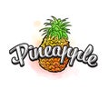 Pineapple colorful label sign