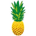 Pineapple. Colorful silhouette in a flat style. Design for greeting cards, summer tropical drinks Royalty Free Stock Photo