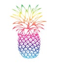 Pineapple colorful sketch isolated on white background.