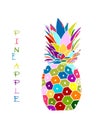 Pineapple colorful, sketch for your design