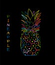 Pineapple colorful, sketch for your design