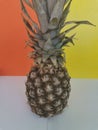 Pineapple on colourful background. About health. Creative fruits.