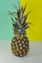 Pineapple on colourful background. Healthy food. Spring vitamins. Summer colours.