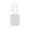 Pineapple. Contour. Drawing, design element. Vector.