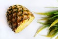 pineapple cut closeup photo isolate on white background Royalty Free Stock Photo