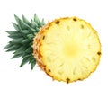 Pineapple cut half isolated on white background Royalty Free Stock Photo
