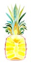 Pineapple cut in half. Watercolor hand drawn illustration, isolated on white background. Royalty Free Stock Photo