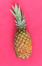 Pineapple, delicious exotic tropical fruit. Pink background