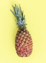 Pineapple, delicious exotic tropical fruit. Yellow background