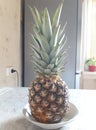 Pineapple, delicious food. Useful product, a plant for food. Color photo modern