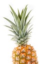 Pineapple detail