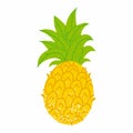 Pineapple. Exotic tropical fruit with stamp texture, fresh whole juicy yellow ananas with green leaves, vector cartoon isolated on Royalty Free Stock Photo