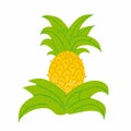 Pineapple. Exotic tropical fruit with stamp texture, fresh whole juicy yellow ananas with green leaves, vector cartoon isolated on Royalty Free Stock Photo