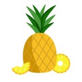 Pineapple flat vector illustration isolated on white background Royalty Free Stock Photo